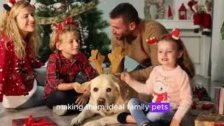 Top dog Species and their Uniqueness Part 1