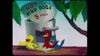 The Bored Cuckoo (1948) &ndash; Classic Terrytoons Cartoon | HD Restoration