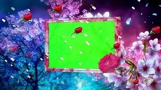 Wedding green screen Effects HD Video 121/beautiful photo frame vfx designer