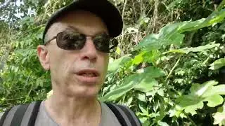 Cancer, croyances, karma, for&ecirc;t primaire et th&eacute;orie d'Ulysse.