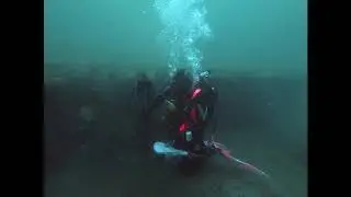 M Andrews Trigger Fish   Panama City, FL   March 2019