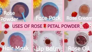 Uses Of Rose🌹 Petal Powder | Face Pack, Hair Mask, Rose Cream, Lip Balm, Rose Oil | Natural SkinCare