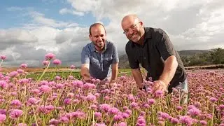 Altman Specialty Plants