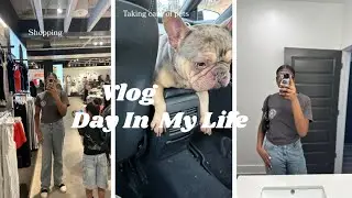 Day In My Life Vlog || Shopping, Petco, etc