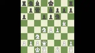 Boek Eero (FIN) VS Naegeli Oskar (SUI)