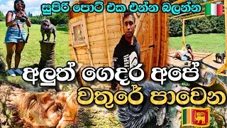 වතුරේ පාවෙන සුපිරි ගෙදර |😱🇮🇹| This Floating Wooden House is Incredible! 🤯😵‍💫