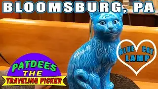 Patdees The Traveling Picker Episode #4 - We Visit Bloomsburg, Pa / Salvation Army Stop Also