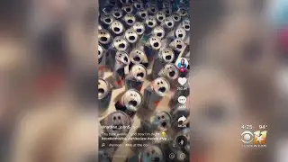 Dallas Man Creates Viral Hit During COVID-19 Quarantine