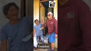 RossdaBoss 