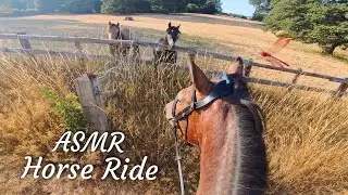 30 Minutes of HORSE RIDING ASMR! POV Tack up & Ride