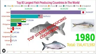 Top 10 Largest Fish Producing Countries In The World