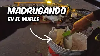 EP#71 • ¡Pescando En El MEJOR HORARIO En El MUELLE de Tocopilla!