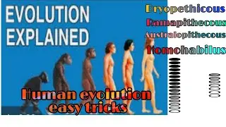 Human evolution easy tricks to learn for neet