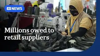 Bangladeshi workers suffer consequences of Mosaic Brands collapse | ABC NEWS