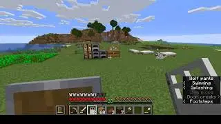 Minecraft  1.15.2 Hardcore