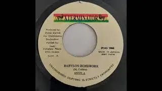 Sizzla - Babylon Homework - Xterminator 7inch 1998 Blessing Riddim