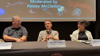 Deep Sea Mining, Science, Legal, and Policy Perspectives