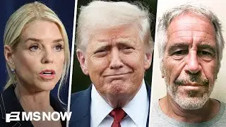'Incredible incompetence': Fmr. attorney reacts to DOJ's handling of Epstein docs release