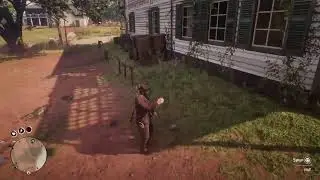 Red Dead Redemption 2 Lets hunt the last goddamn egrets