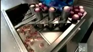 How Its Made Onions