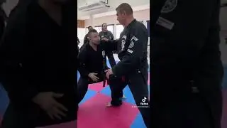 Sword of destruction #kenpo