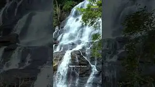Yercaud Falls❤️😍