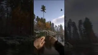 Moi je sais nager !!! moi