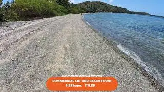 🌊 Crystal-Clear Waters & Coconut Paradise | Beachfront Property for Sale in Mindoro