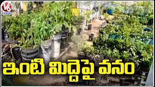 Teacher Farming 150 Varieties Of Plants In Organic Way On House Roof | Nizamabad | V6 News