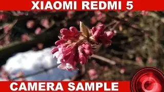 Xiaomi Redmi 5 Camera Sample