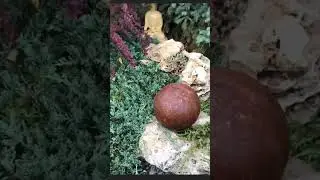 Garden Sphere, Garden decor, Garden art, Rusty metal ball art #metal #rusty #decor #gardendecor #art