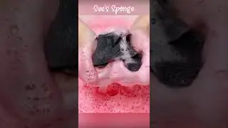 ASMR Soft Sponge x Recycle Hand Soap