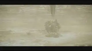 SHADOW OF THE COLOSSUS Celosia speedrun no major glitch PS5/Normal time atack