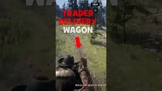 How to Use AUTOPILOT in Red Dead Online