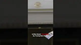 Trump Just Canceled Elon Musk?! 🤯 | Truth Social Silence