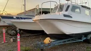 Wilson Flyer 24 Fast Fisher - Boatshed - Boat Ref#327053