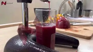 Presa manuala pentru citrice &ndash; Extrage rapid sucul proaspat!