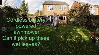 Cordless lawnmower. Does it have enough power to pick up those wet leaves 🍁....