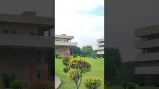 beauty of HAU ,Hisar #hauhisar #luvas #ccshau #veterinary #haucampus #hisar #vetsurgeon