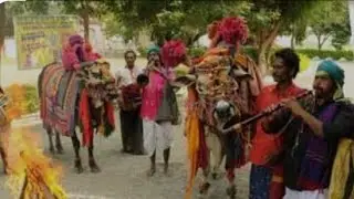Sankranthi Festival In My Village In 2025