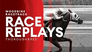 Woodbine, Tbred, December 14, 2025 Race 6 | Woodbine Horse Race Replay