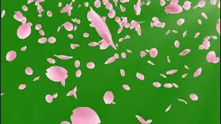Beautiful Flower Green Screen Clips: No Copyright Green Screen Effects