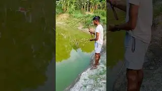 হুইল ছিপ দিয়ে মাছ ধরতে এসে কি হলো 🐟😥(392) bengali village fishing video || local fishing vlog ||