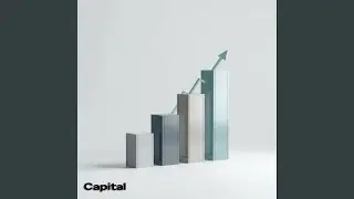 Capital