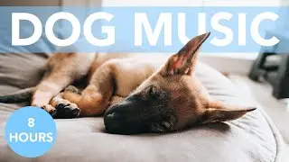 Dog Music! Relaxing Pet Acoustics to Chill Your Dogs! ASMR!