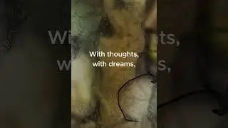 How do you bring more life to death? | visual poetry | Features.