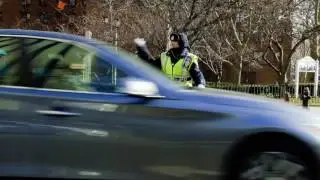 Meet NYPD Traffic Enforcement Agent Guadalupe Rubino