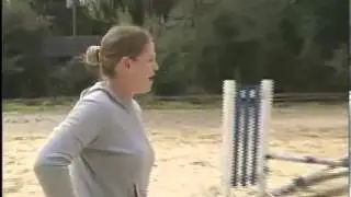 Natural Horsemanship Trainer