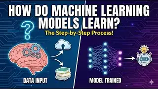 How Do Machine Learning Models Learn?