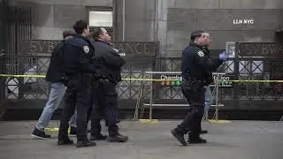 Man Pistol Whipped, Shots Fired in Manhattan Subway